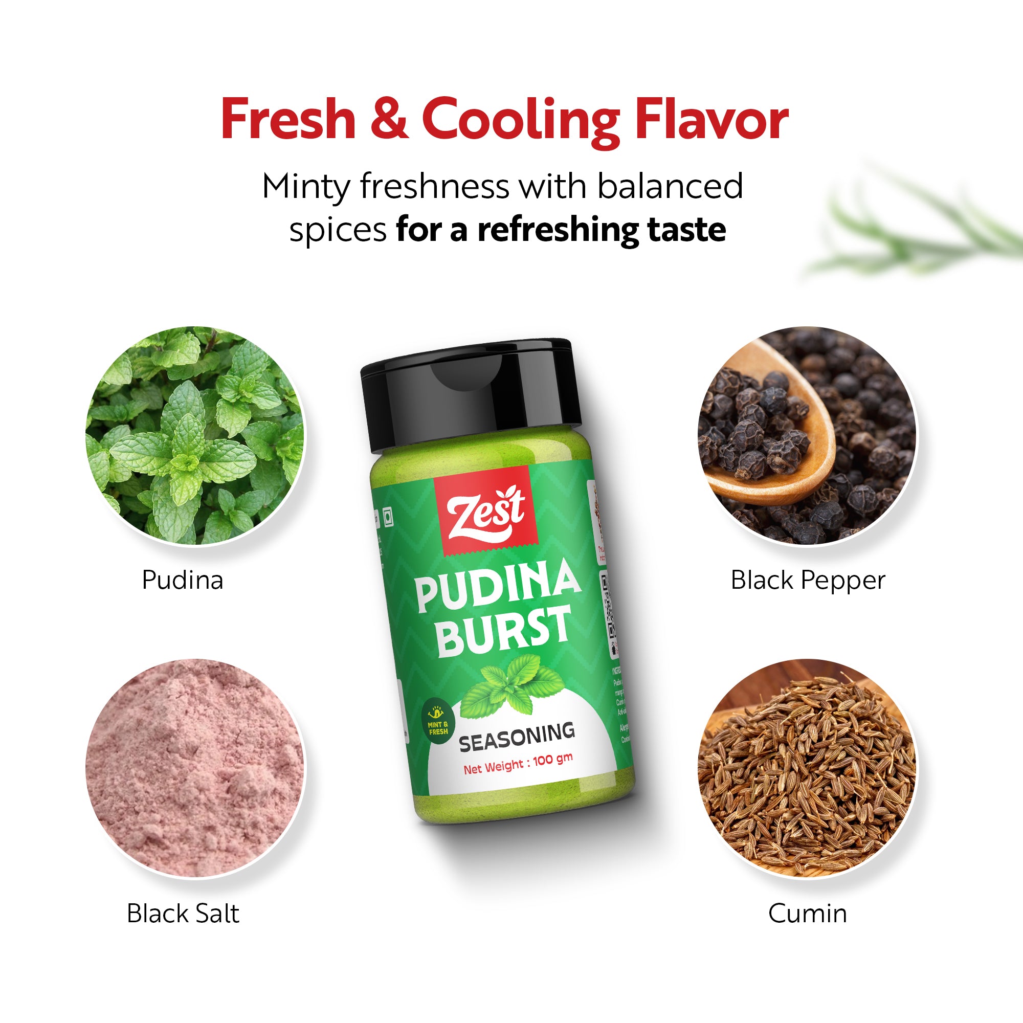 Pudina Seasoning 100g | Refreshing Mint Spice Blend | Zest Foods