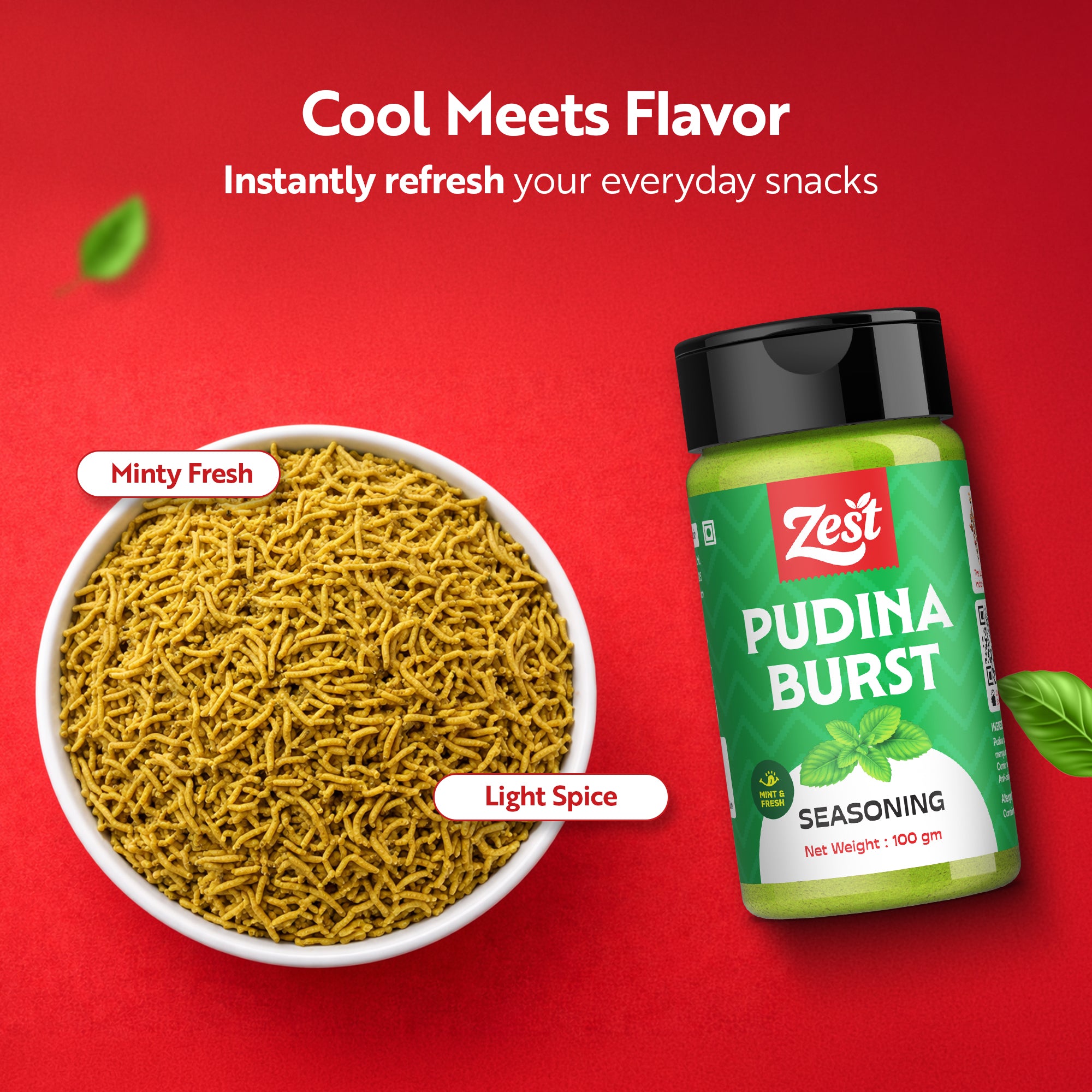 Pudina Seasoning 100g | Refreshing Mint Spice Blend | Zest Foods