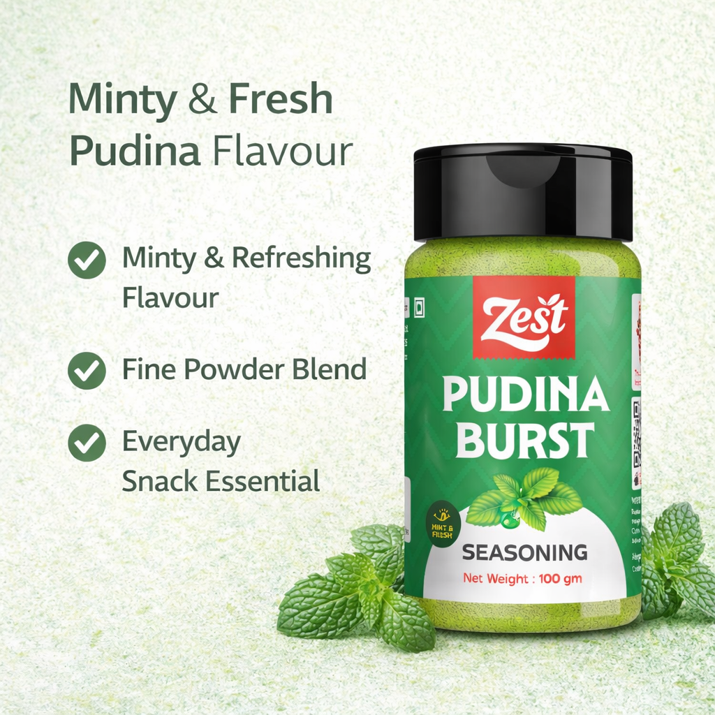Pudina Seasoning 100g | Refreshing Mint Spice Blend | Zest Foods